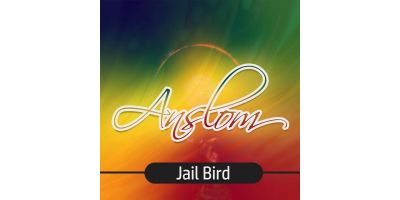 Anslom Anslommuzic Limited